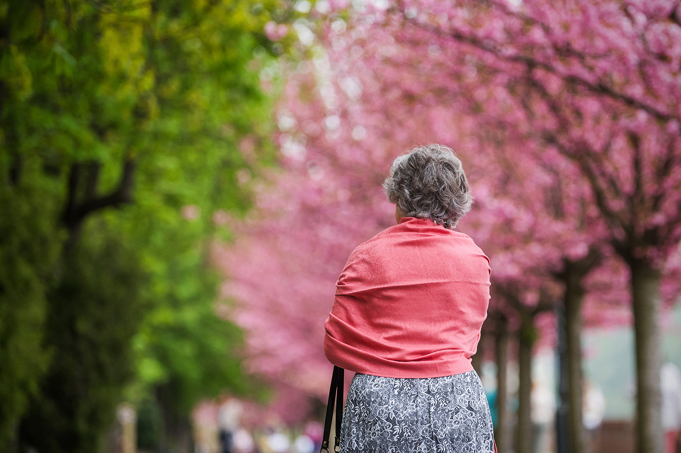 Tóth Árpád sétány