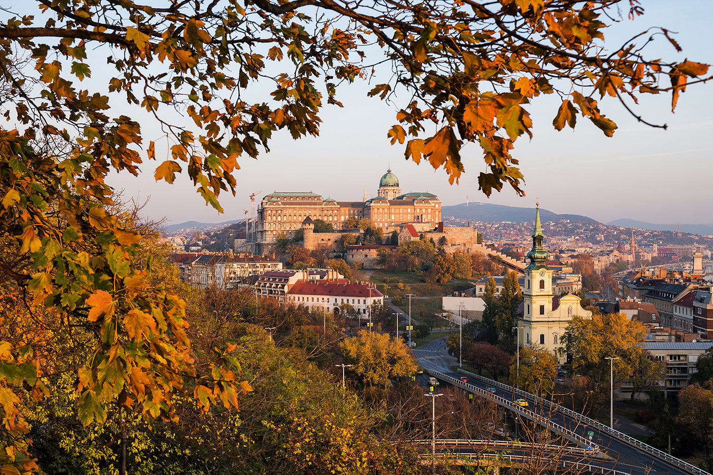 Buda Castle from Gellért Hill in autumn #3