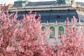 Royal Riding School in spring #8