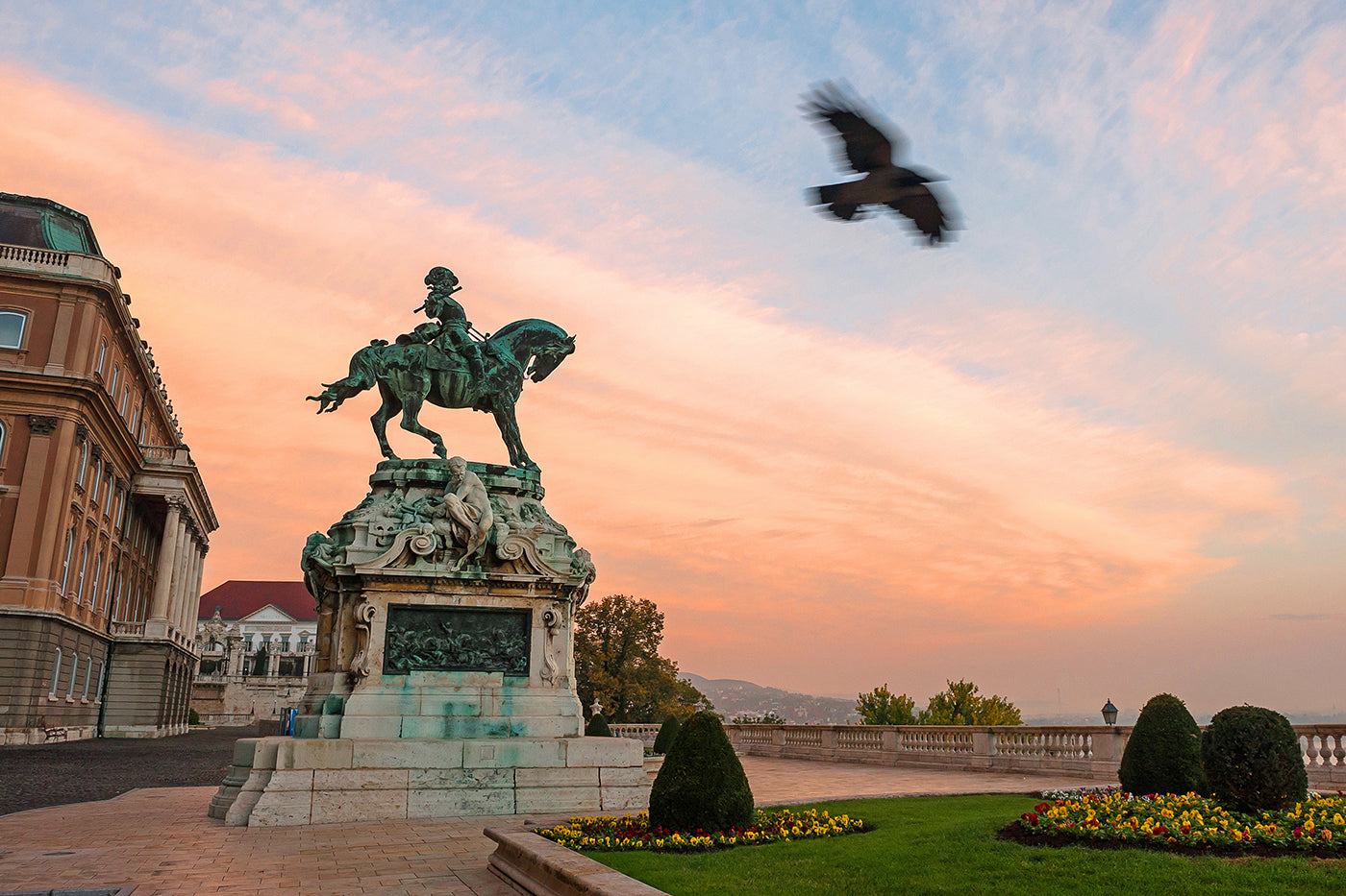 A flying crow in Buda Castle #10