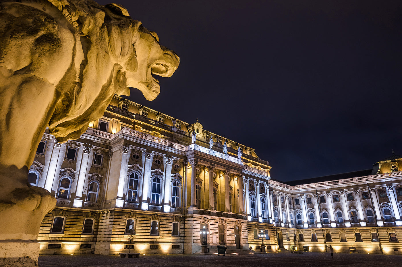 Lion statue in Buda Castle #44