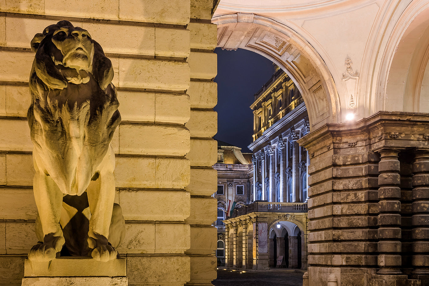 Lion statue in Buda Castle #46