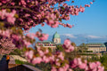 Buda Castle from the Tóth Árpád promenade in spring #55
