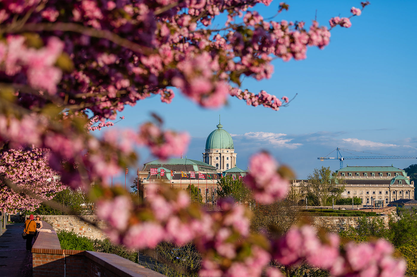 Buda Castle from the Tóth Árpád promenade in spring #55