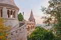 DSC0795 #120