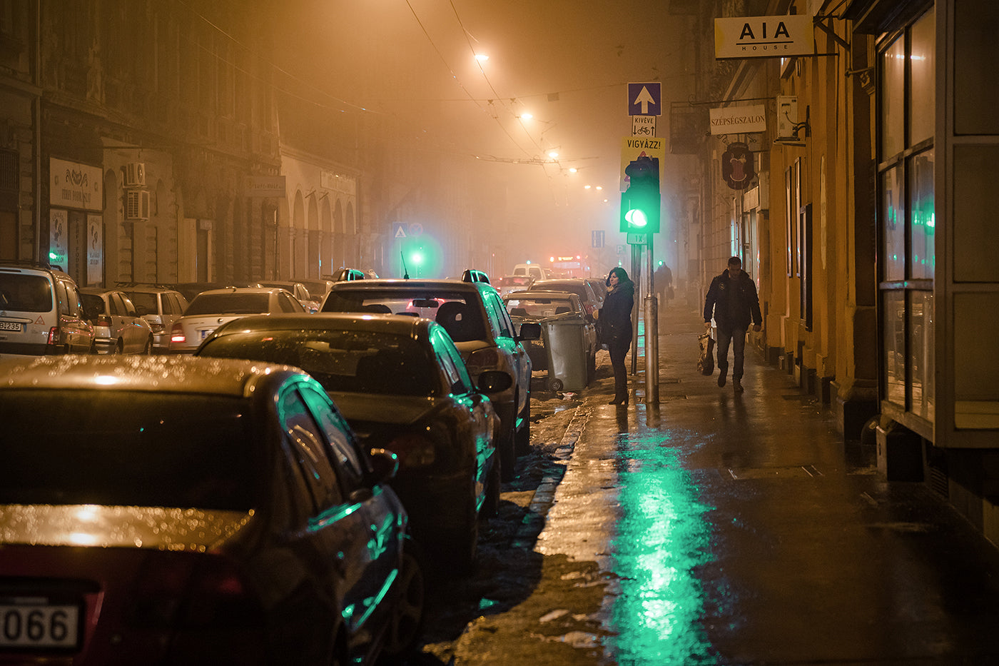 Rottenbiller Street in fog #194