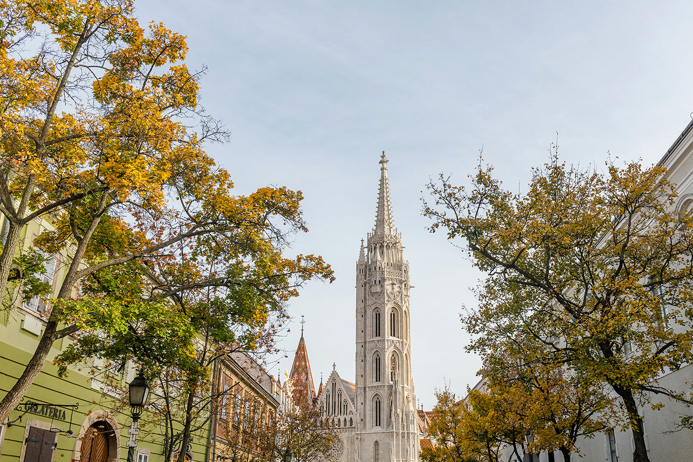Matthias Church in autumn #260