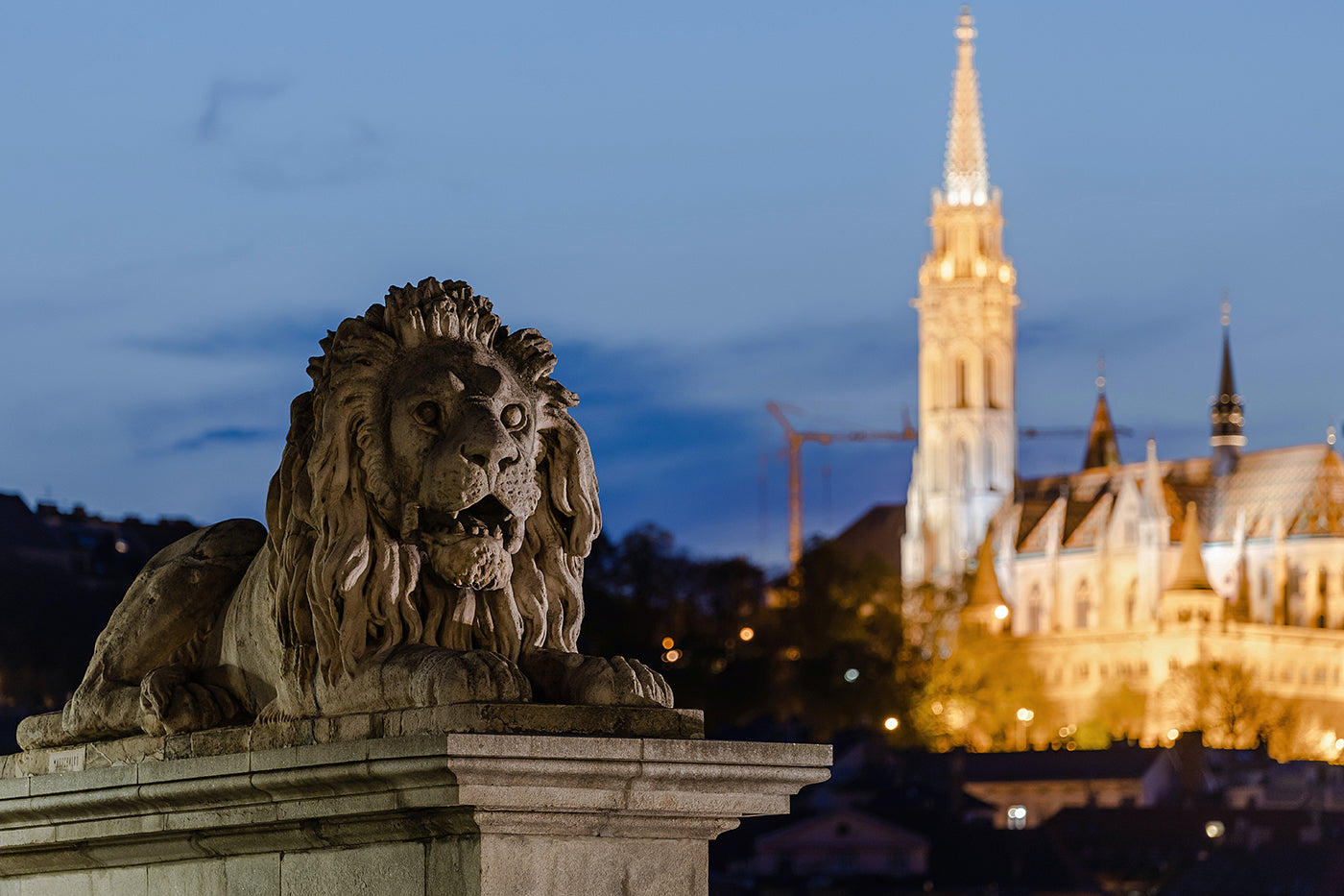 The Lion of the Chain Bridge and Matthias Church #269