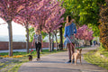 Dog walking on the Tóth Árpád promenade #307