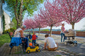 Árpád Tóth Promenade in Spring #316