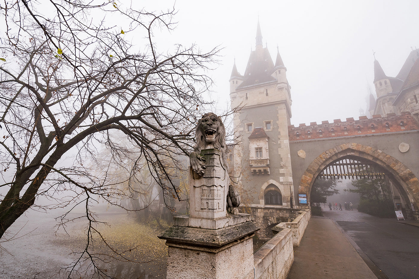 Foggy Vajdahunyad Castle #342