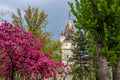 Vajdahunyad Castle in spring #345