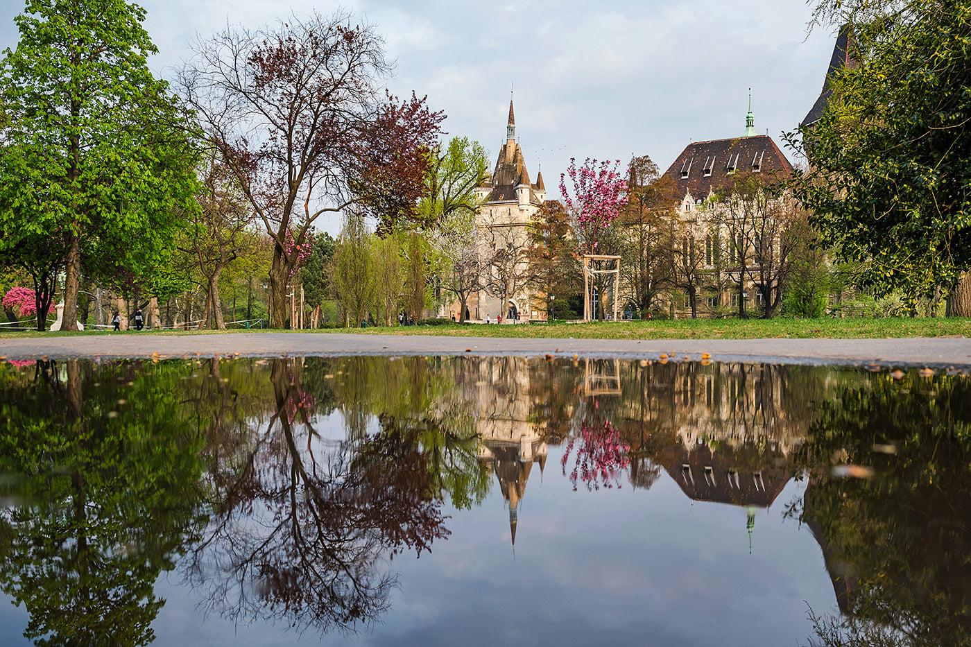 Vajdahunyad Castle reflected in a puddle #348