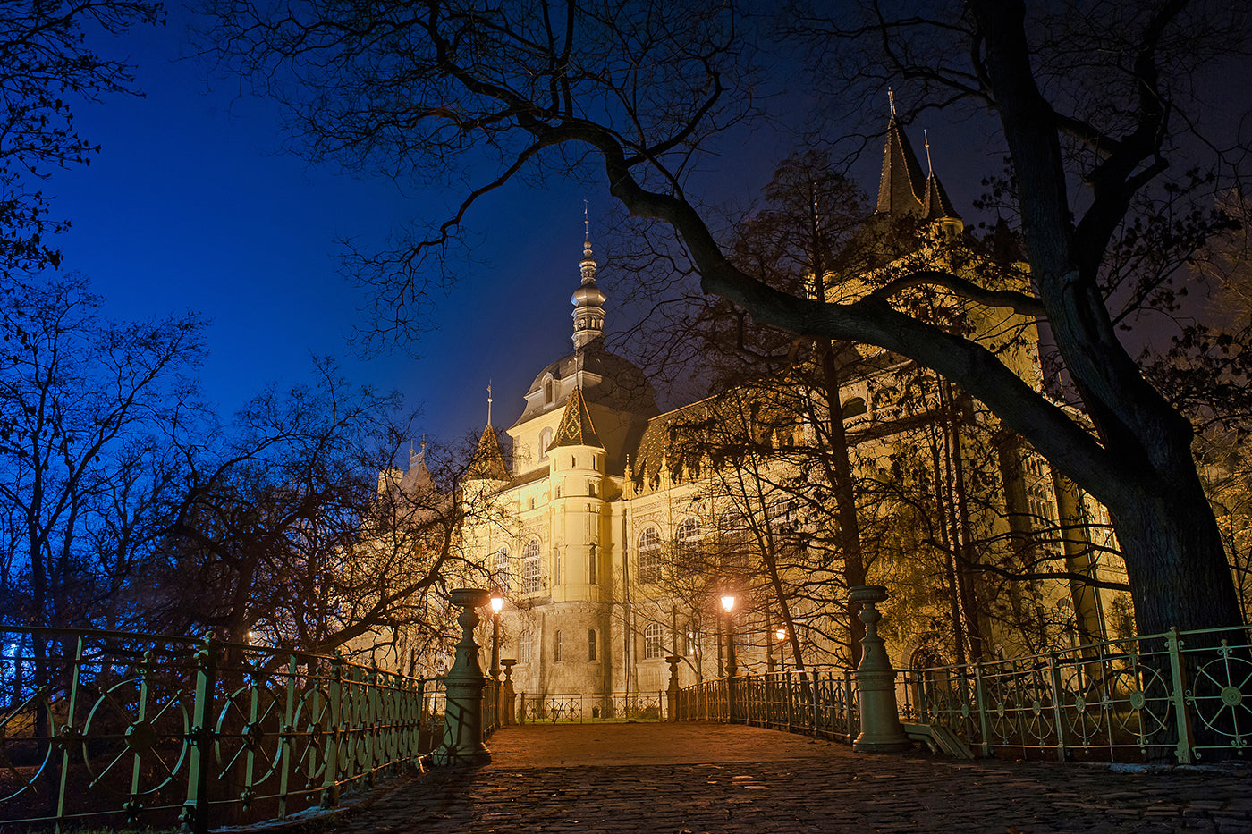 Agricultural Museum evening #379