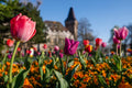 Vajdahunyad Castle in spring #381
