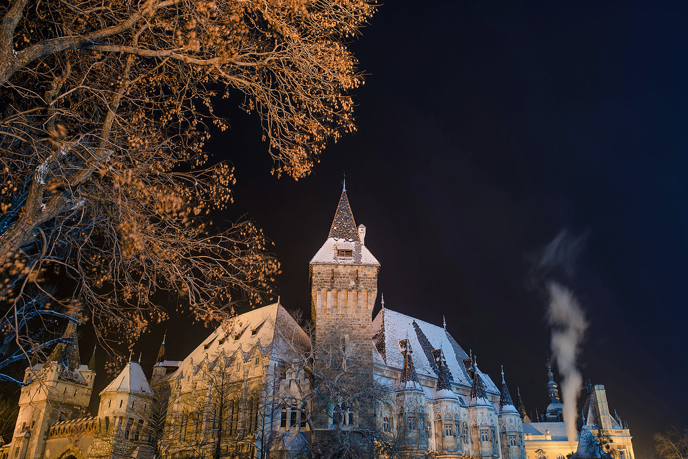 Snowy Vajdahunyad Castle at night #385