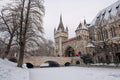 Snowy Vajdahunyad Castle #388
