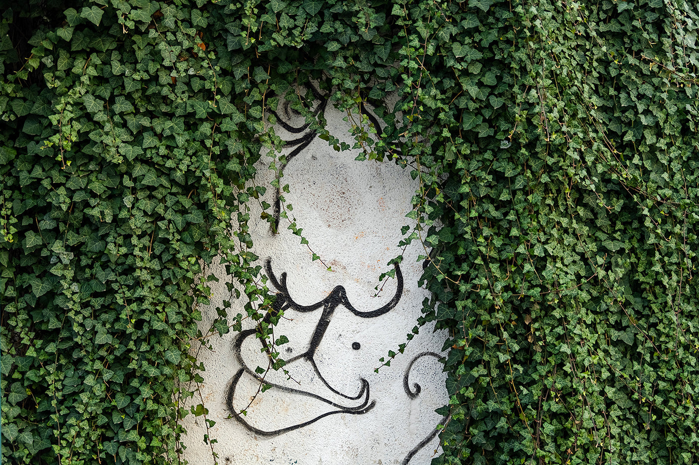 Street art a Markusovszky téren #452