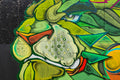Mural on Barba Negra Track page #495
