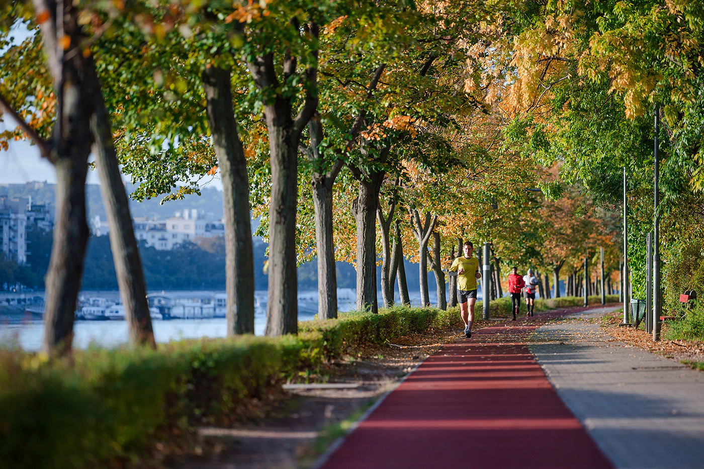 Morning run on Margaret Island #548