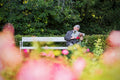 Reading on Margaret Island #564