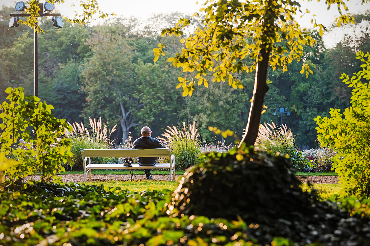 Sitting on a bench on Margaret Island #566