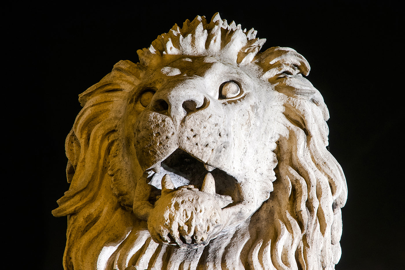 Lion at the Chain Bridge #589