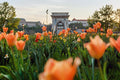 Chain Bridge from Széchenyi Square in spring #594
