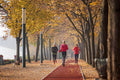 Morning run on Margaret Island #750