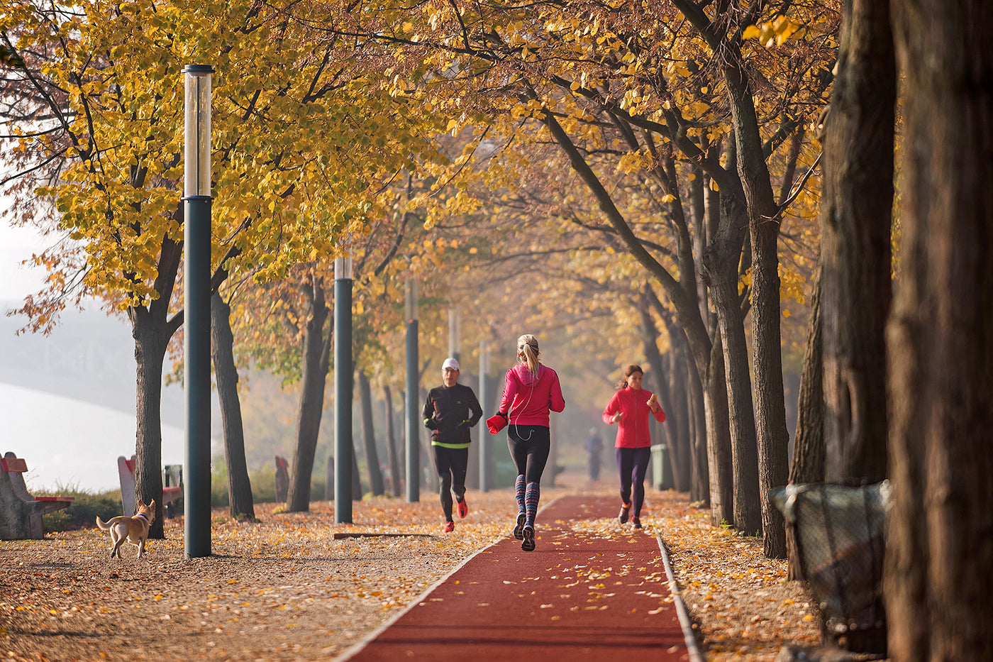 Morning run on Margaret Island #750