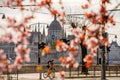 Parliament in spring #847