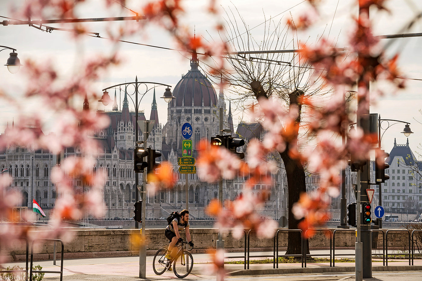 Parliament in spring #847