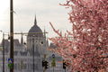 Parliament in spring #848