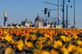 Parliament in spring from Bem József Square #899