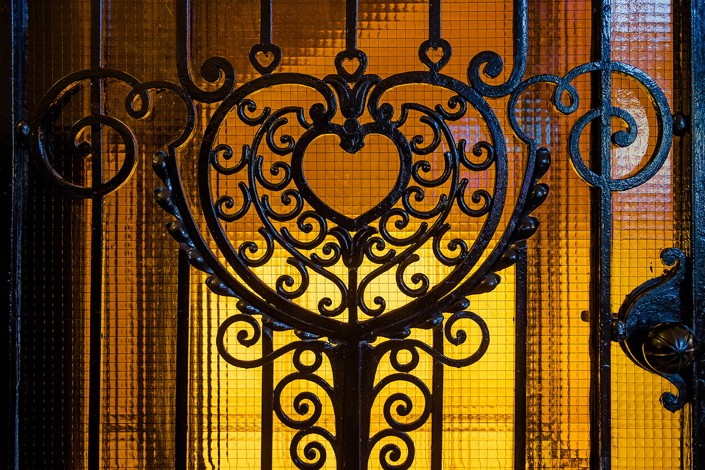 Detail of the gate in the Gellért Baths #921