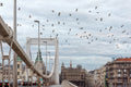 Elizabeth Bridge from the Buda side #1064