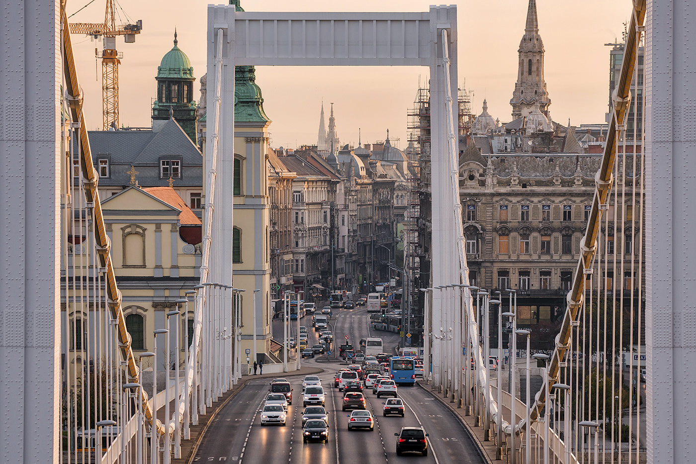 Elizabeth Bridge from Gellért Hill #1066