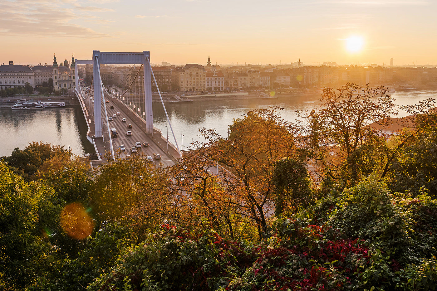Elizabeth Bridge from Gellért Hill #1101