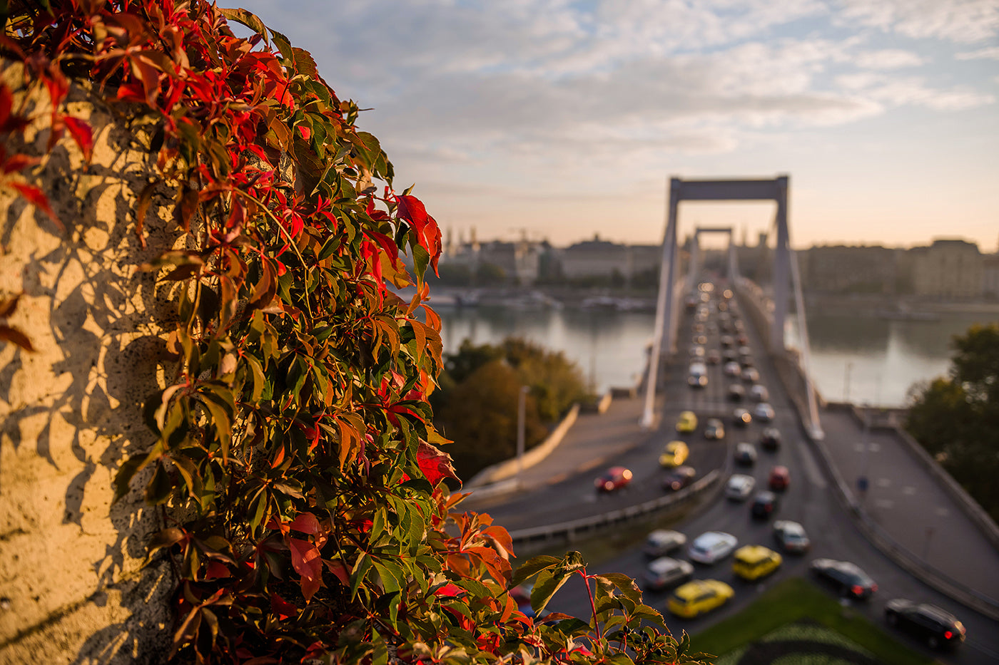 Elizabeth Bridge from Gellért Hill #1103