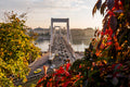 Elizabeth Bridge from Gellért Hill #1104