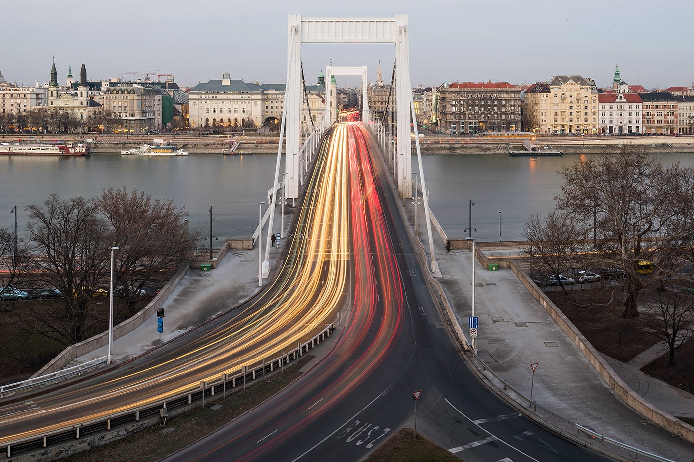 Elizabeth Bridge from Gellért Hill #1107