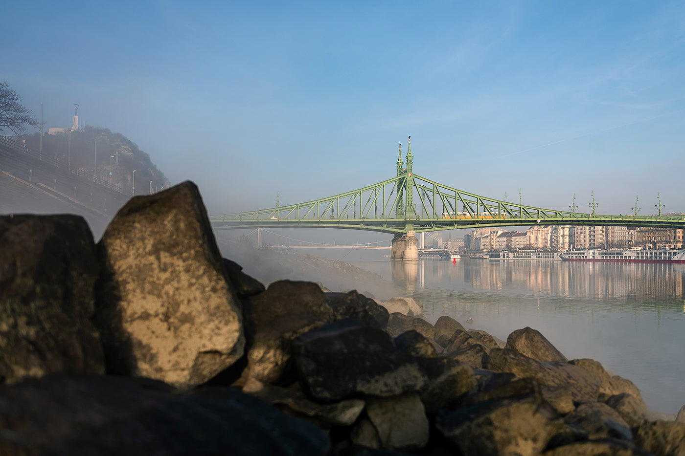 Liberty Bridge from the Danube Bank #1113
