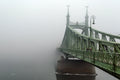 Foggy Liberty Bridge #1117