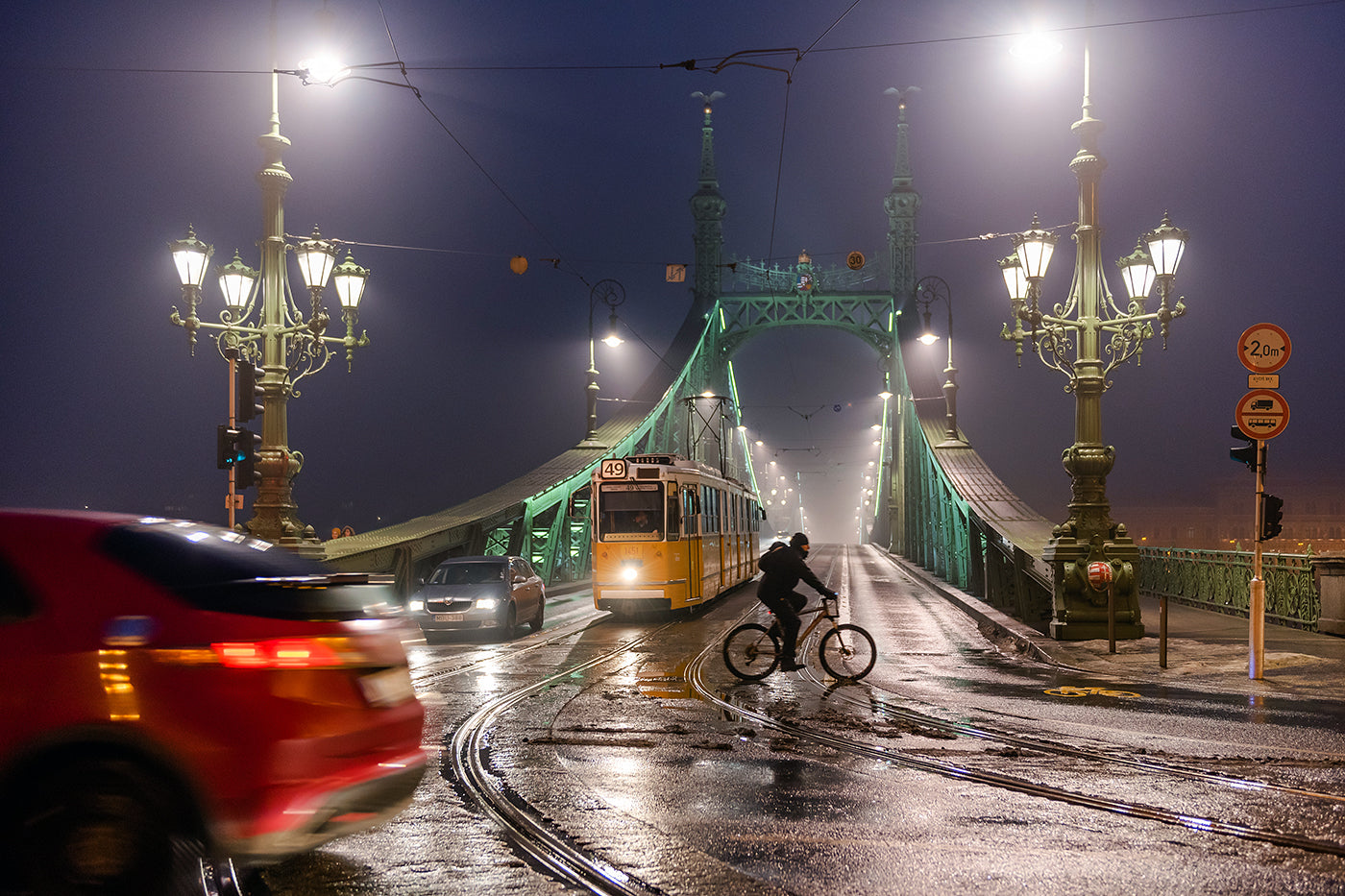 Liberty Bridge from Gellért Square at night #1121