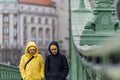 Pedestrians on the Liberty Bridge #1153