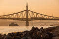 Liberty Bridge from the Danube bank at sunrise #1157