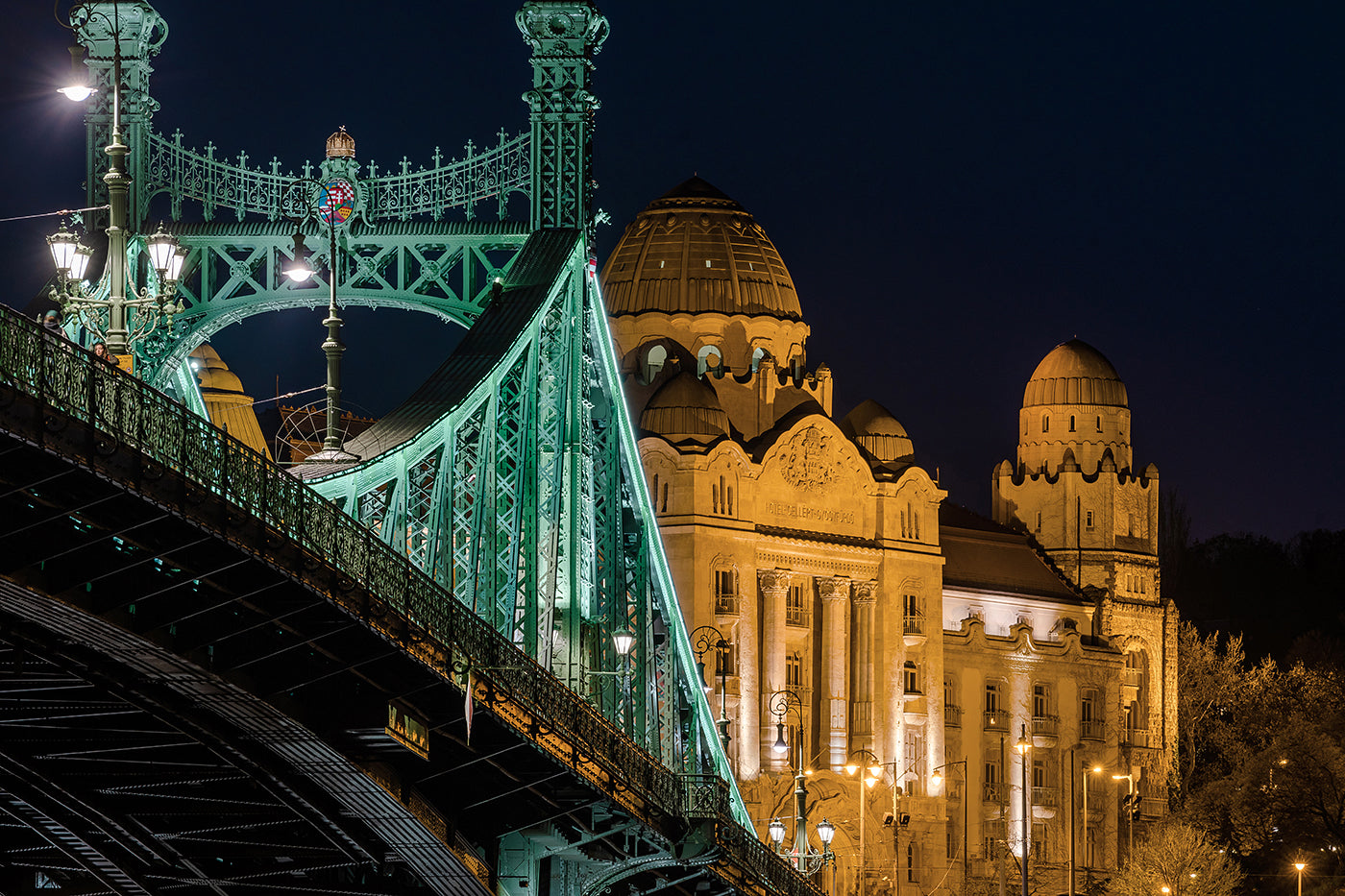 Liberty Bridge and Gellért Baths #1160