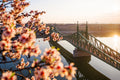 Liberty Bridge in spring from Gellért Hill #1165