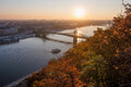 Liberty Bridge from Gellért Hill in autumn #1173
