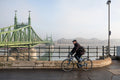 Foggy morning at Liberty Bridge #1195